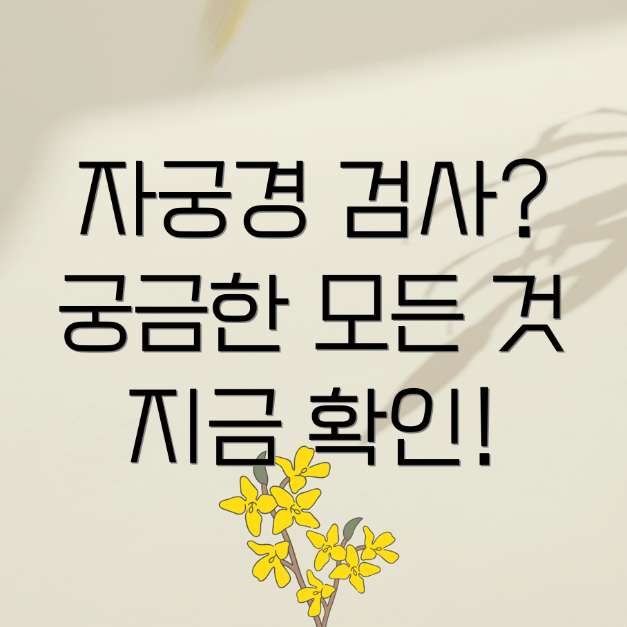 시험관 자궁경 검사