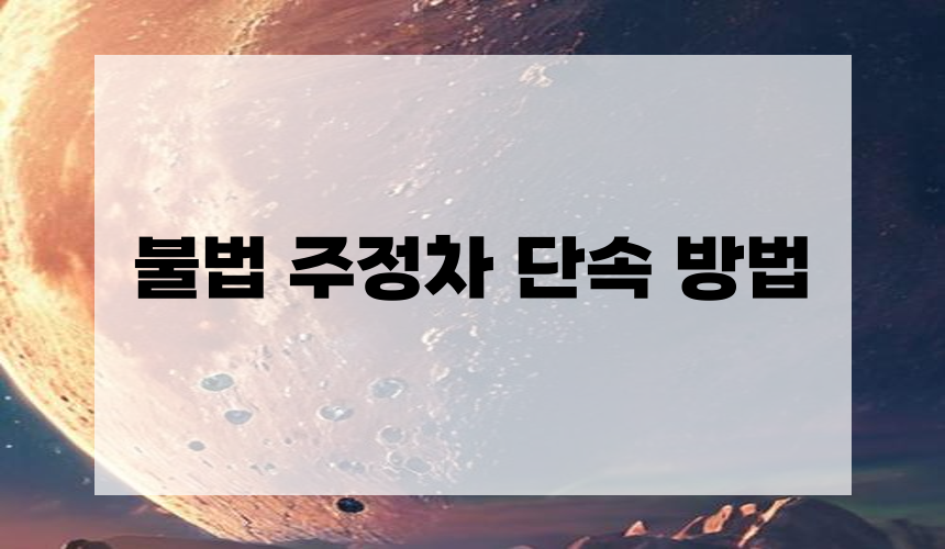 3. 불법 주정차 단속 방법