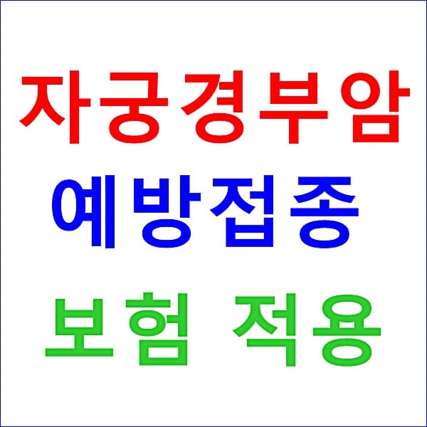 자궁경부암 예방접종 보험 대표 이미지