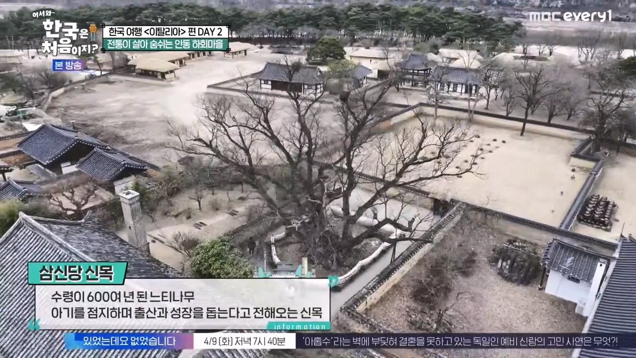 어서와 한국은 처음이지 시즌2.E308.240405p-NEXT.mp4_20240405_200414.632.jpg