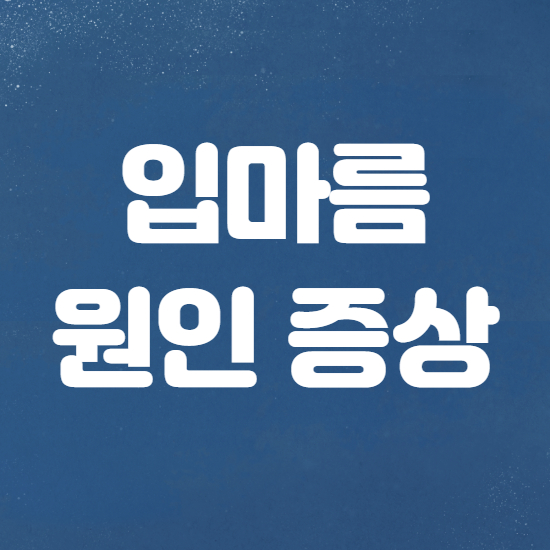  입마름 원인 증상 대처법 꿀팁