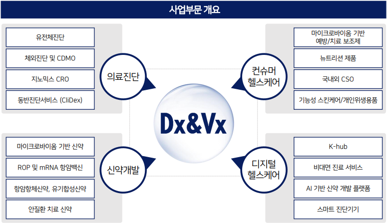 DXVX 사업부문 개요 표