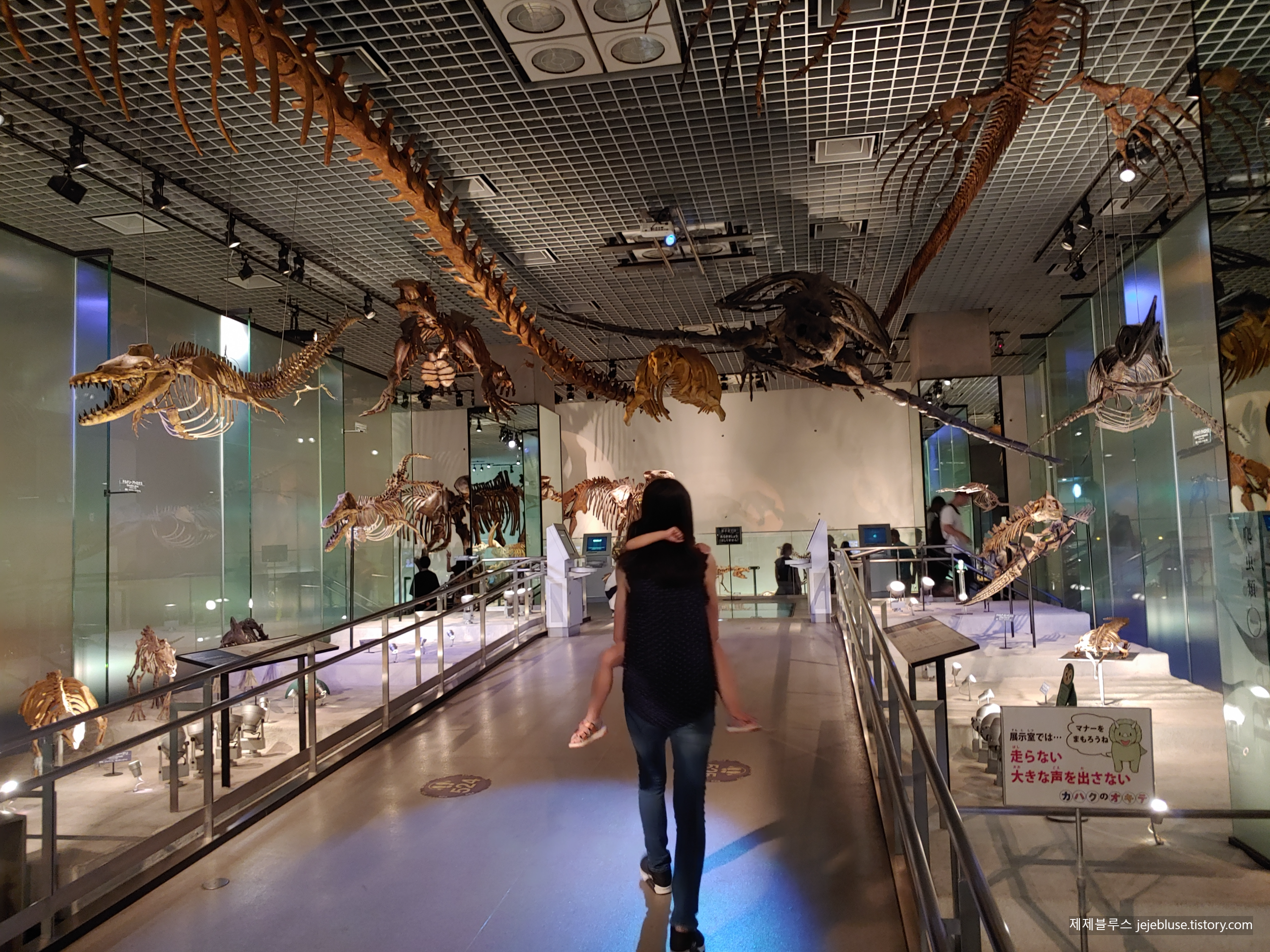 도쿄국립과학박물관-지구관-공룡화석
