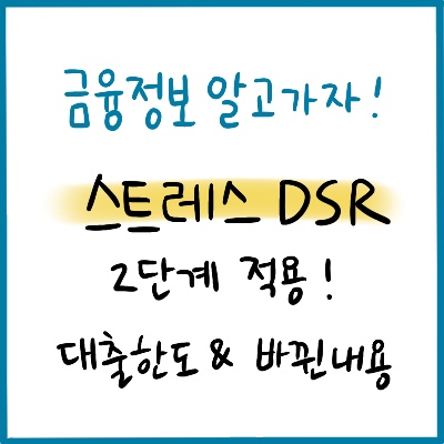 2단계 스트레스 DSR