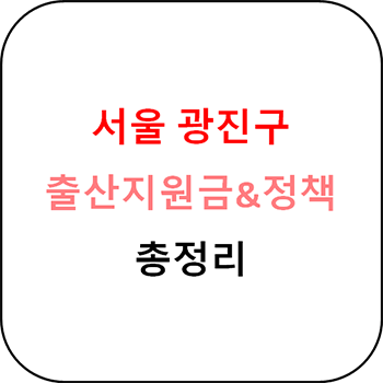  서울 광진구 출산장려금 및 지원정책 총정리