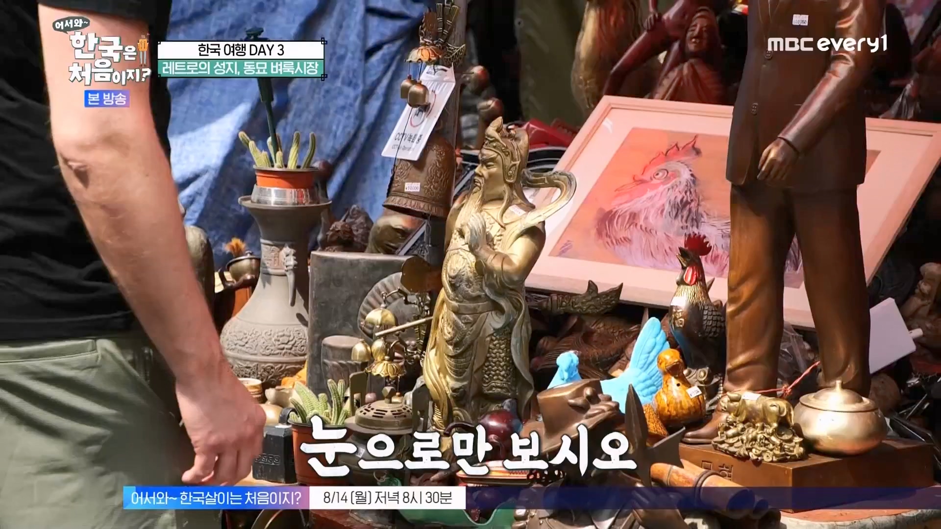 어서와 한국은 처음이지.E275.230810p.WANNA.mp4_20230811_204453.488.jpg