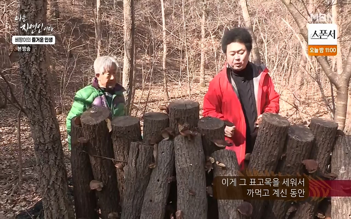 나는 자연인이다.E495.220331p-NEXT.mp4_20220331_174336.436.jpg