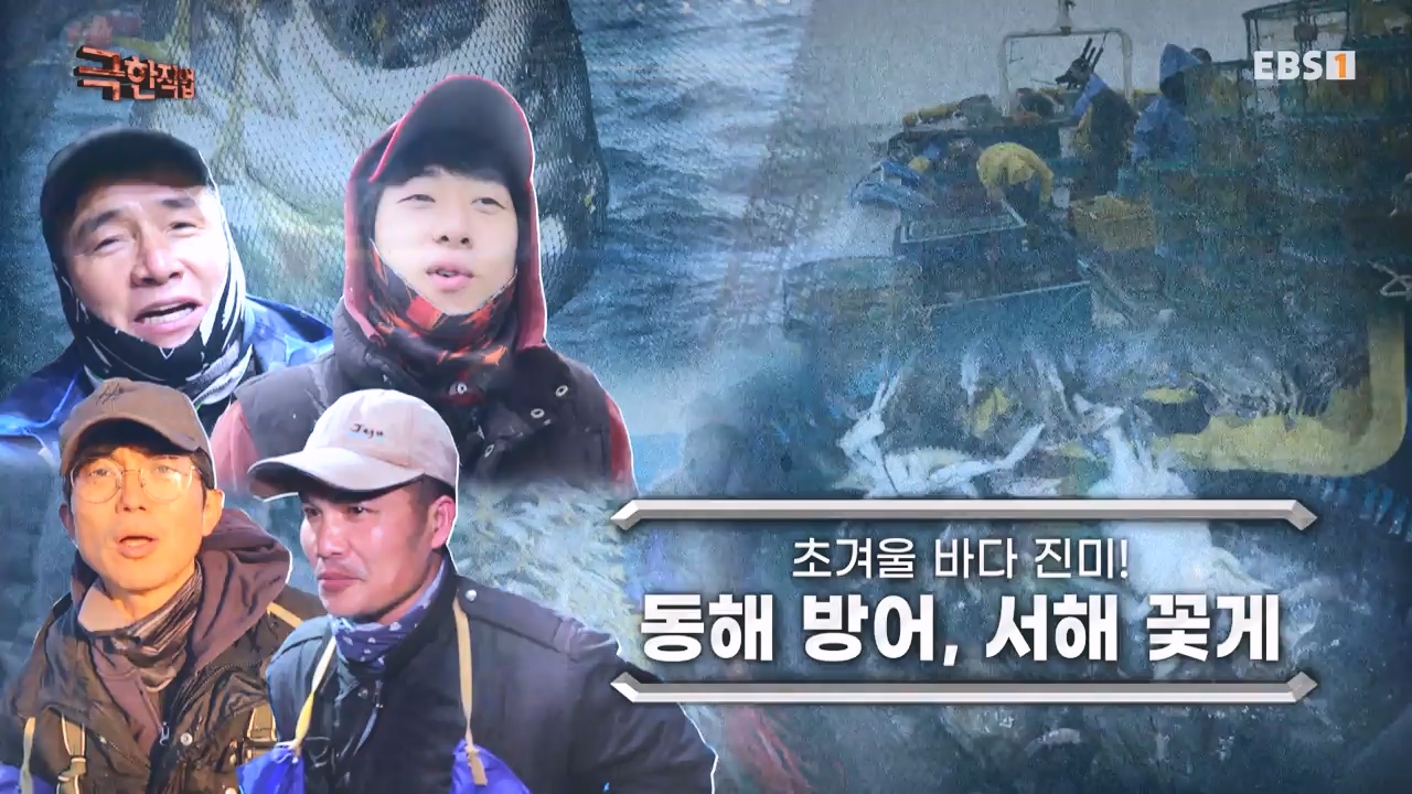 TV - 전 국민의 평생학교 EBS초겨울 바다 진미! 동해 방어, 서해 꽃게.mp4_20231228_202140.529.jpg