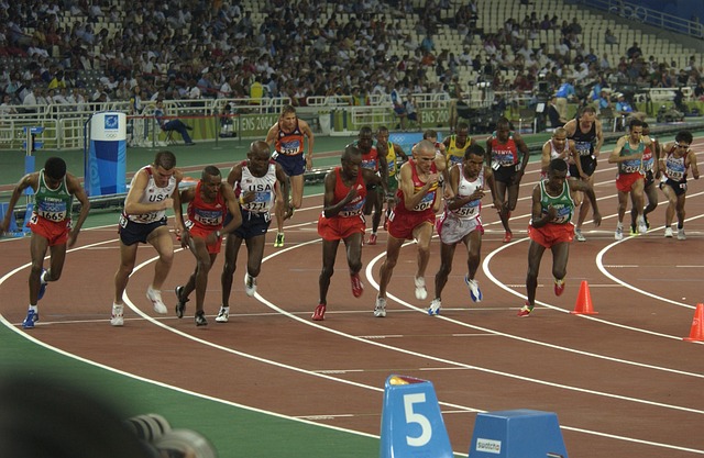 파리올림픽 대한민국 경기 일정(15)