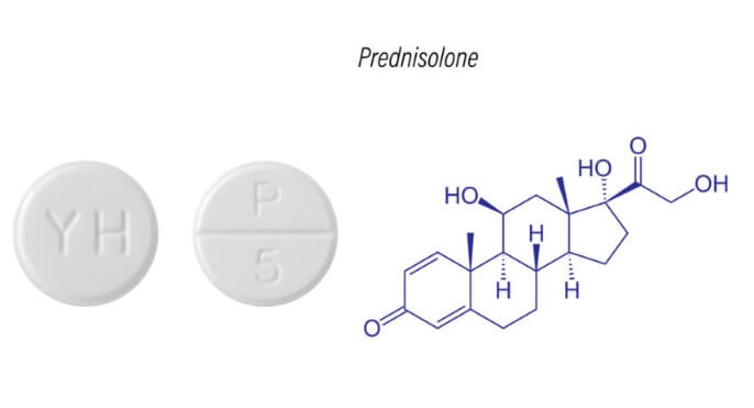 프레드니솔론