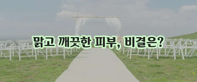 피코 이미지