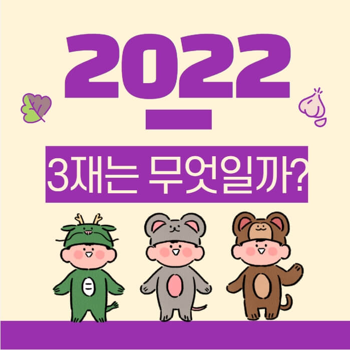 2022년 삼재 용띠 쥐띠 원숭이띠