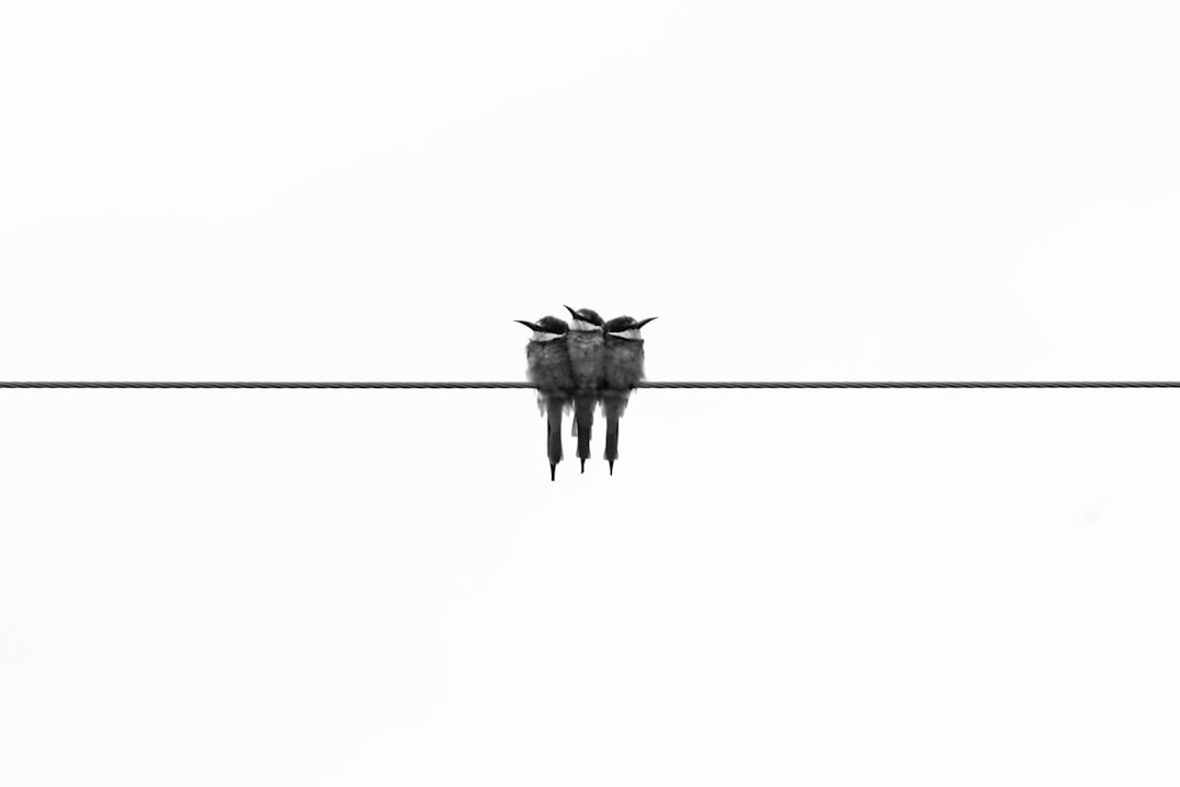 Minimalism