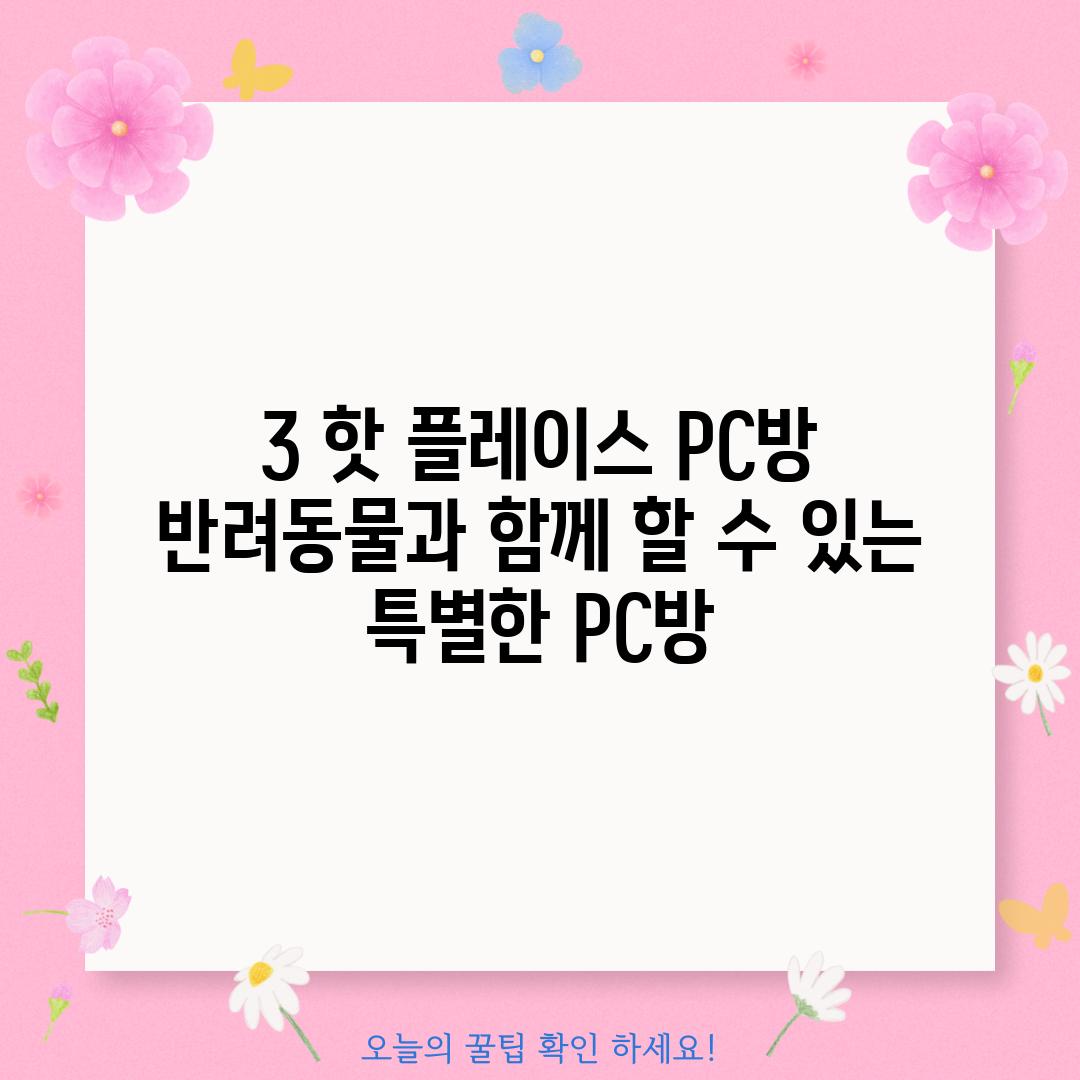 3. 핫 플레이스 PC방: 반려동물과 함께 할 수 있는 특별한 PC방