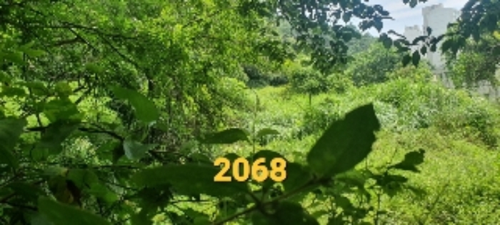 부산동부지원2022타경2068 