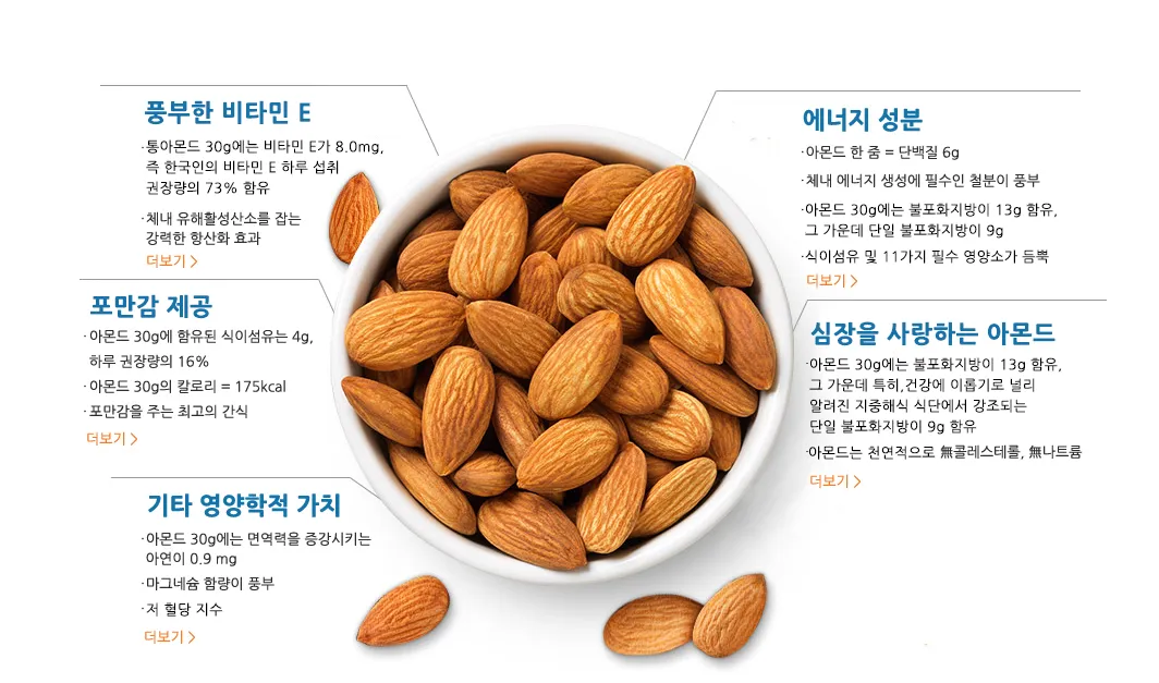 아몬드 효능 하루 섭취량 칼로리_3