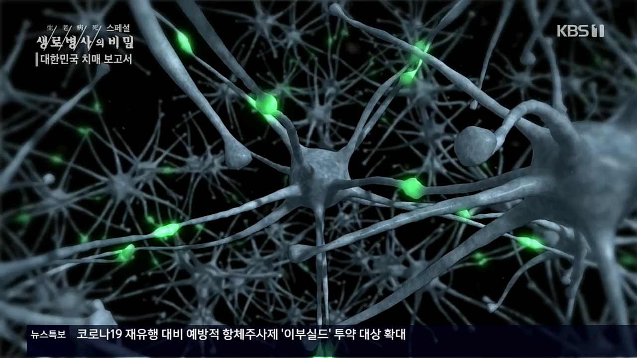 생로병사의 비밀.E843.221117p.H264-F1RST.mp4_20221122_193547.133.jpg