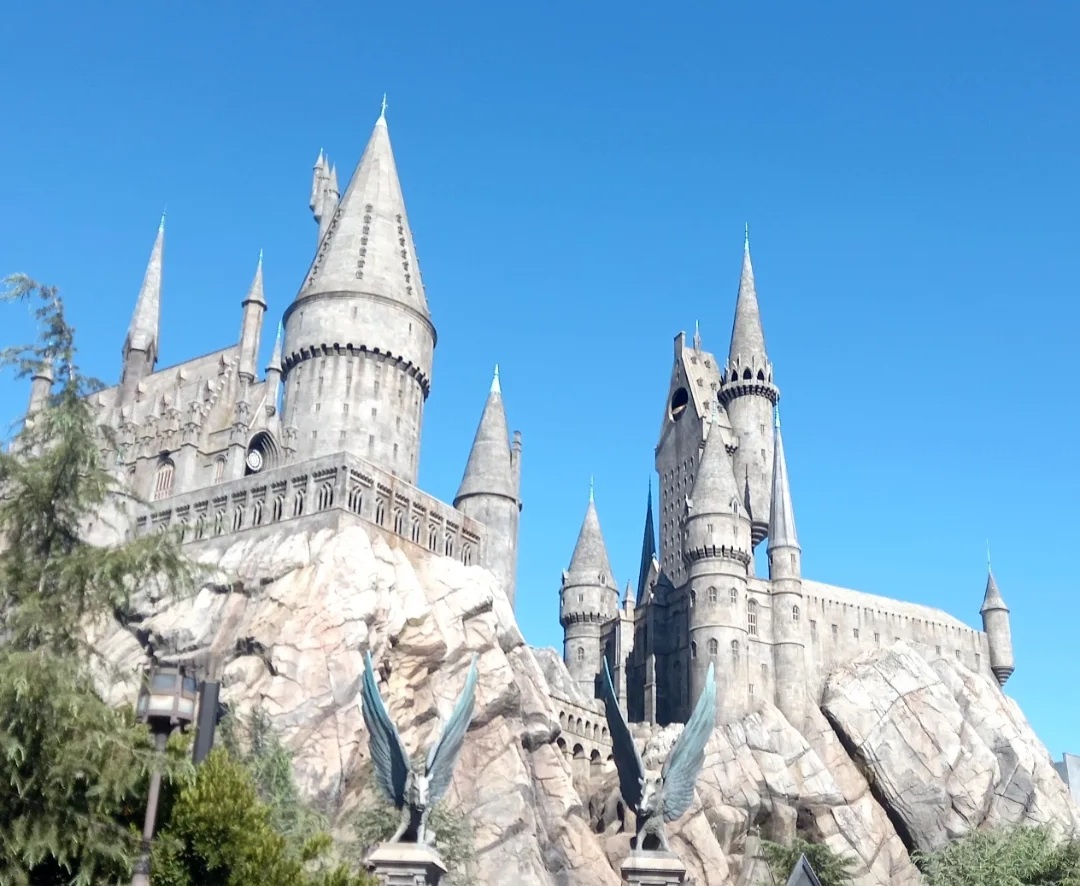 Harry Potter Zone