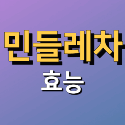 민들레차 효능