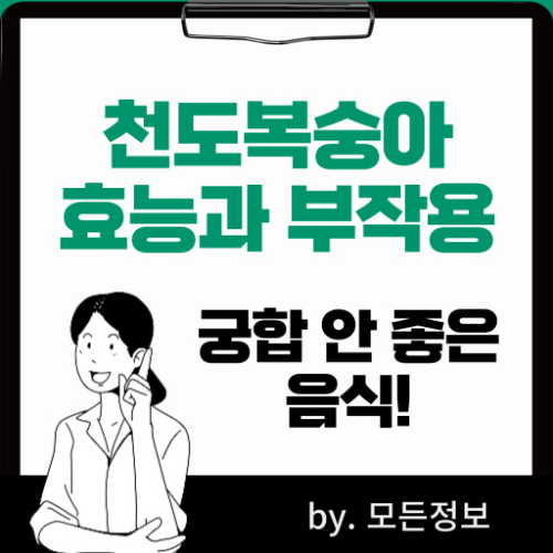 천도복숭아 효능, 부작용, 궁합 안 좋은 음식, 맛있게 먹는 방법