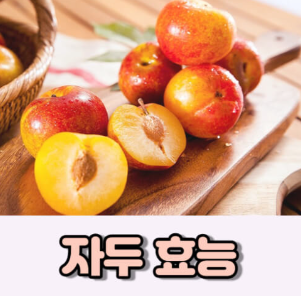 자두 효능 부작용