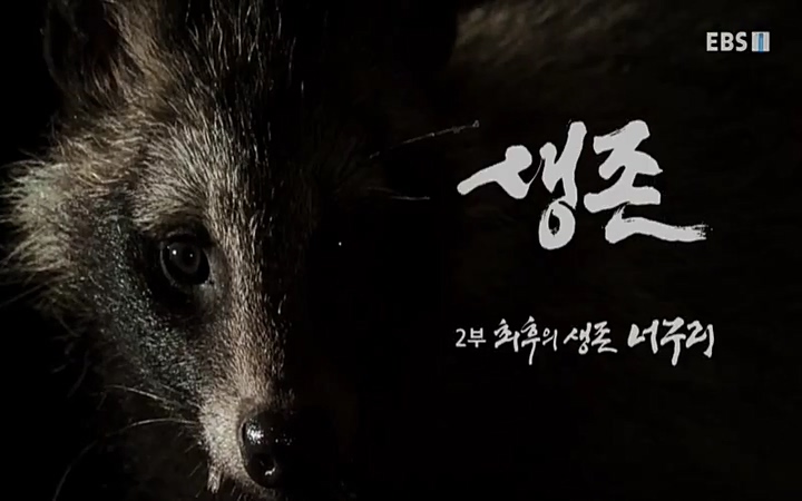 EBS 다큐프라임_ 220628.avi_20220629_203937.102.jpg