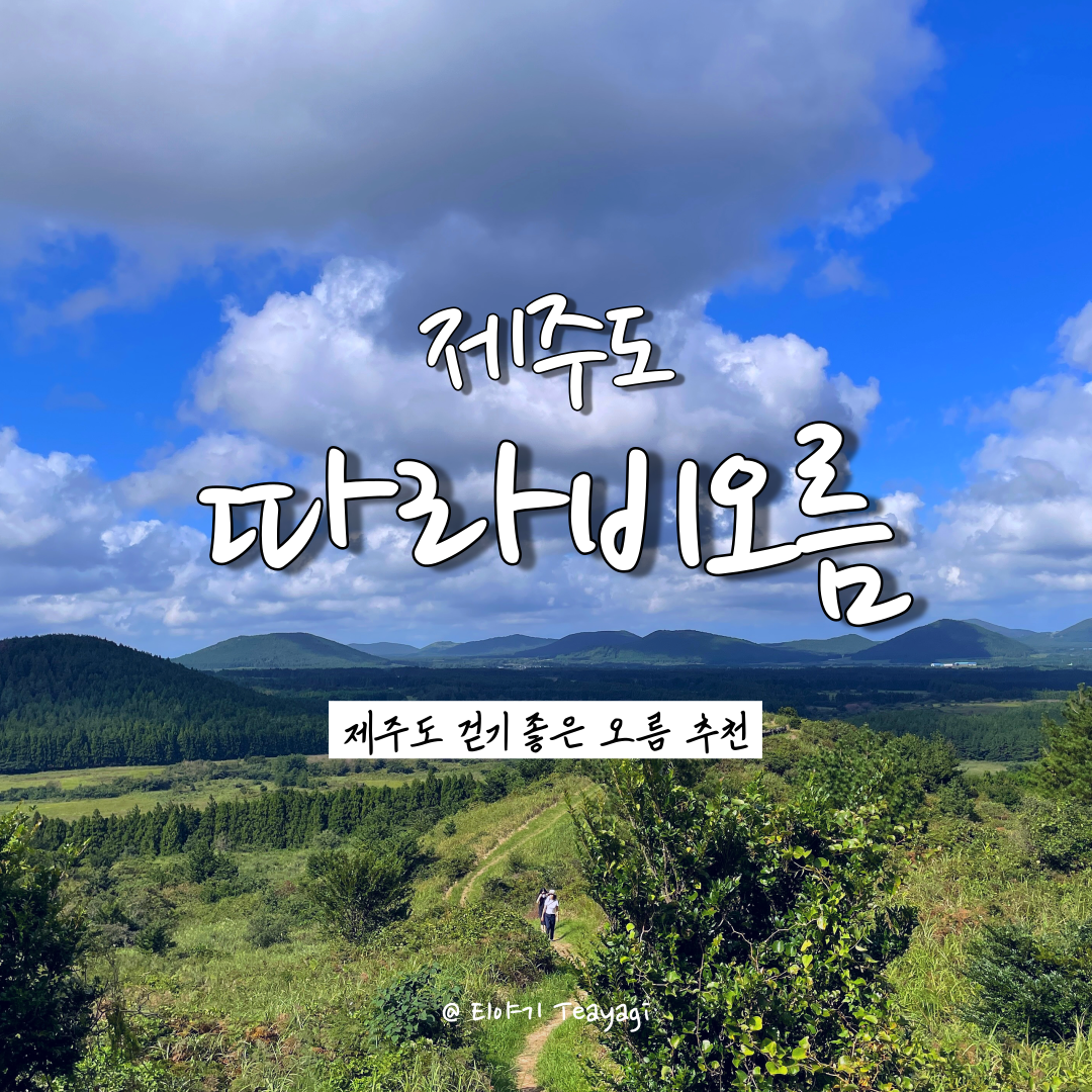  제주 Jeju | 제주도 아이와 함께 걷기 좋은 오름 추천, 따라비오름 (feat. 제주 가볼만한곳)