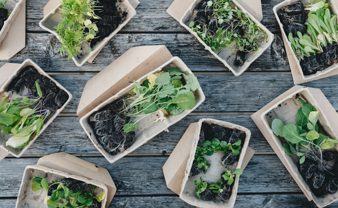 Biodegradable