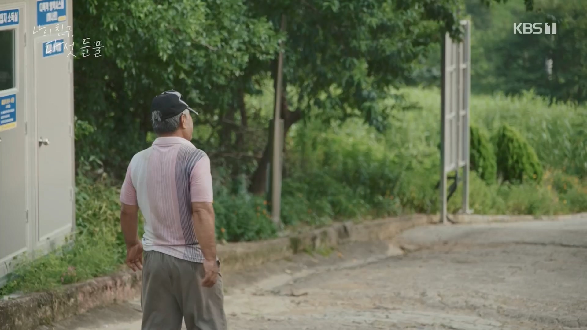 특집 다큐 나의 친구, 다섯 들풀.240119p.H264-F1RST.mp4_20240121_151740.877.jpg