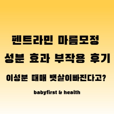 펜트라민-마름모정