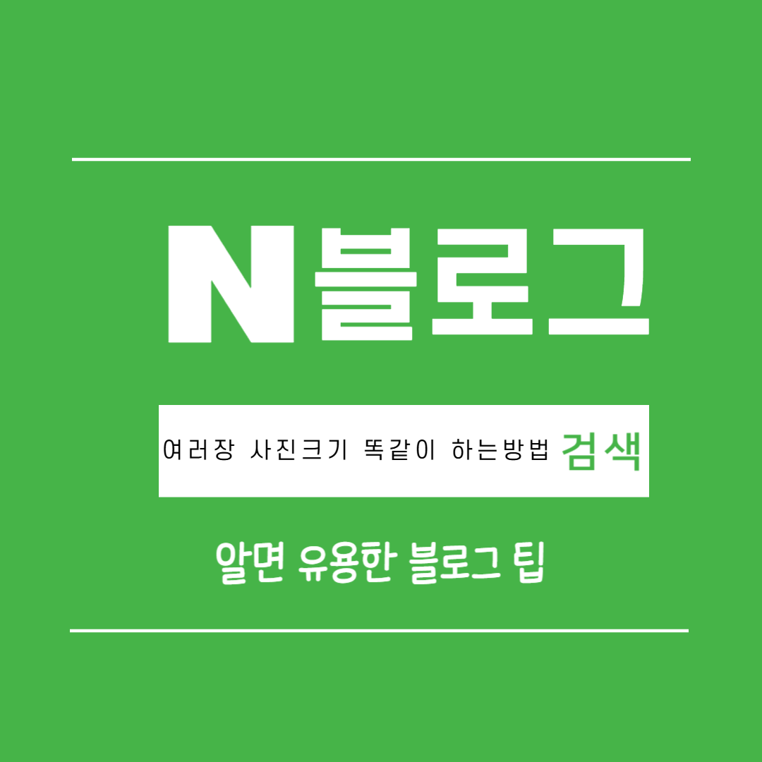 네이버 블로그