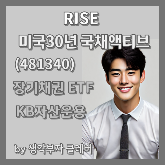 RISE 미국30년채국채액티브