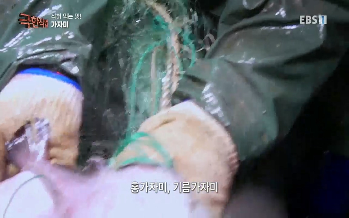 TV - 교육의 중심 EBS삭혀 먹는 맛! 홍어와 가자미.mp4_20220515_183143.505.jpg