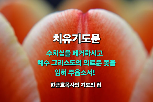  치유기도문: 수치심을 제거하시고 예수 그리스도의 의로운 옷을 입혀 주옵소서!