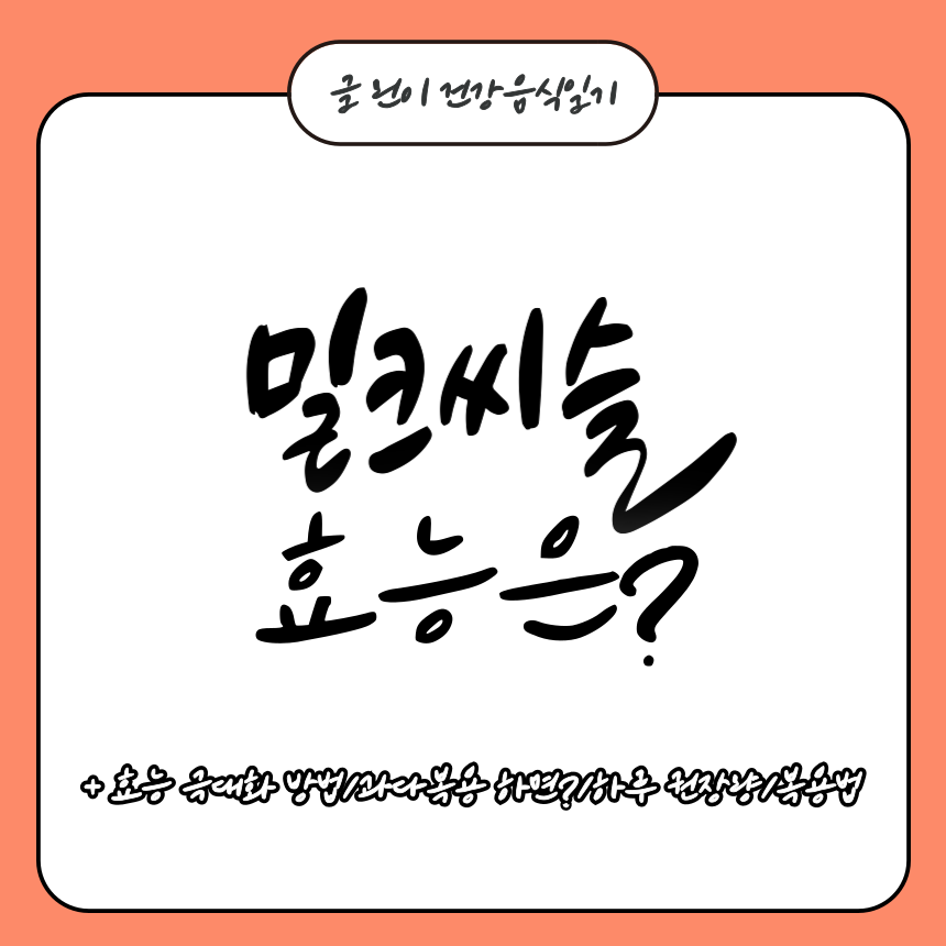  밀크씨슬 효능은?
