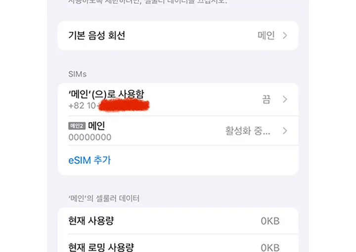 아이폰 일본 이심 '메인' 활성화 중... 해결법