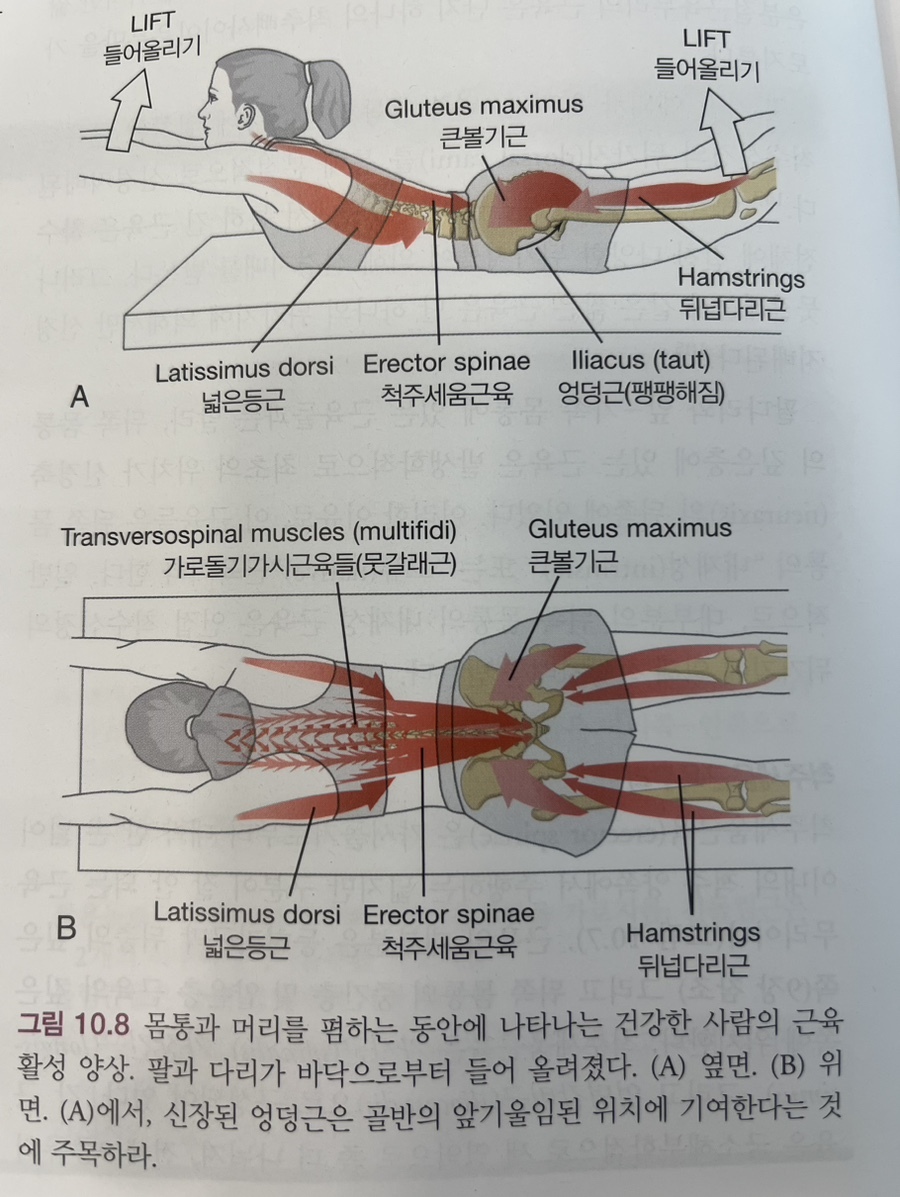 리픽스 이미지