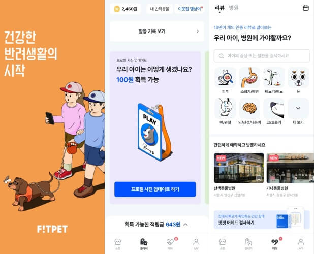 반려동물-플랫폼-핏펫
