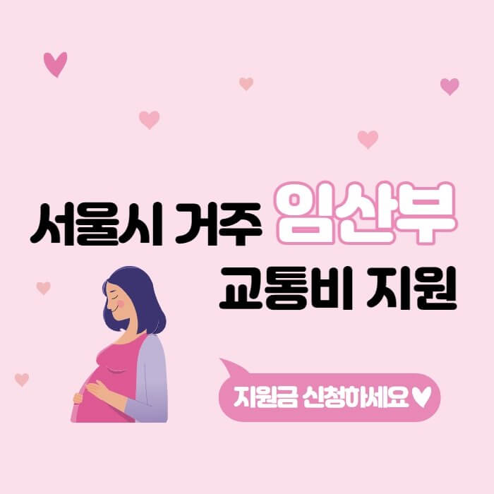 서울시-임산부-교통비-지원-포스터-사진