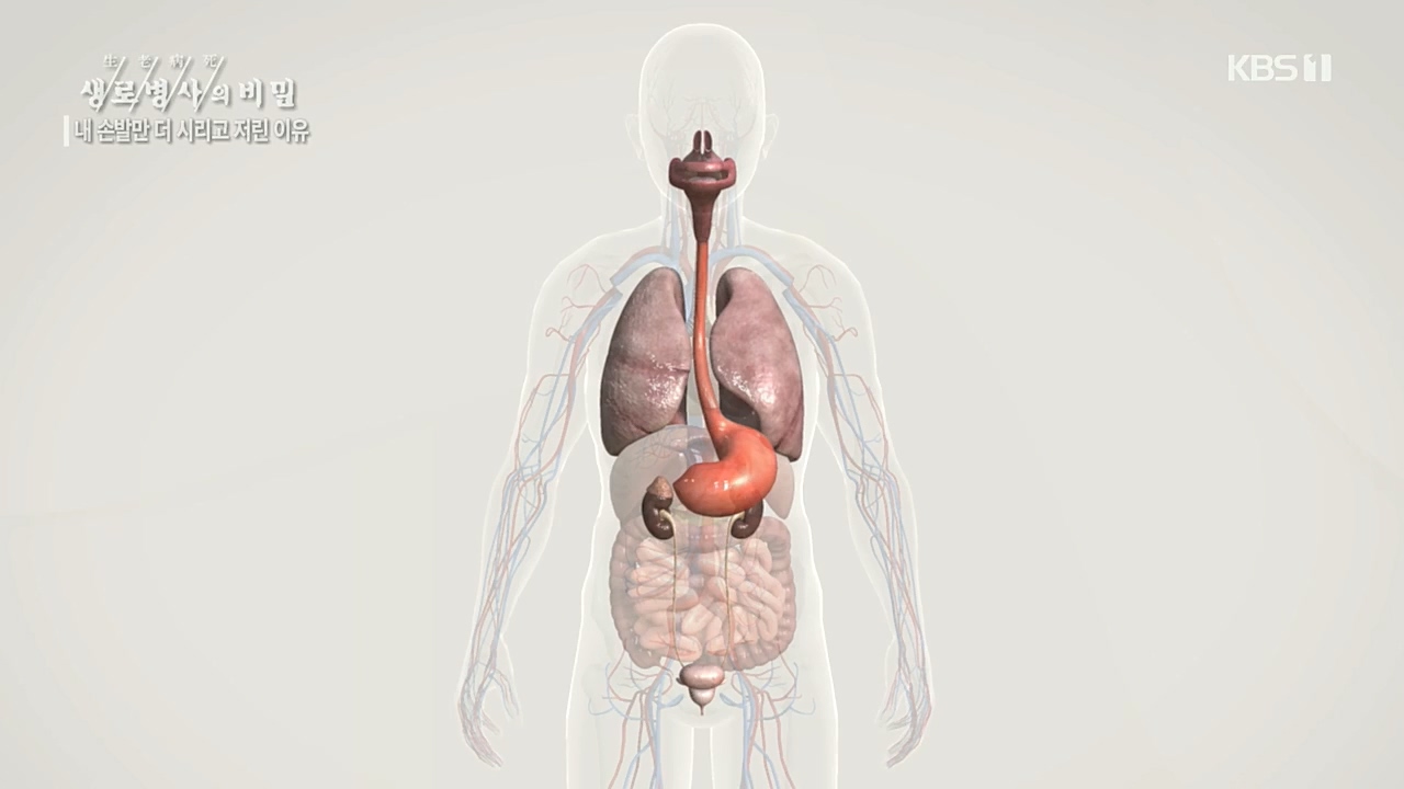 생로병사의 비밀.E847.221215p.H264-F1RST.mp4_20221215_202312.559.jpg