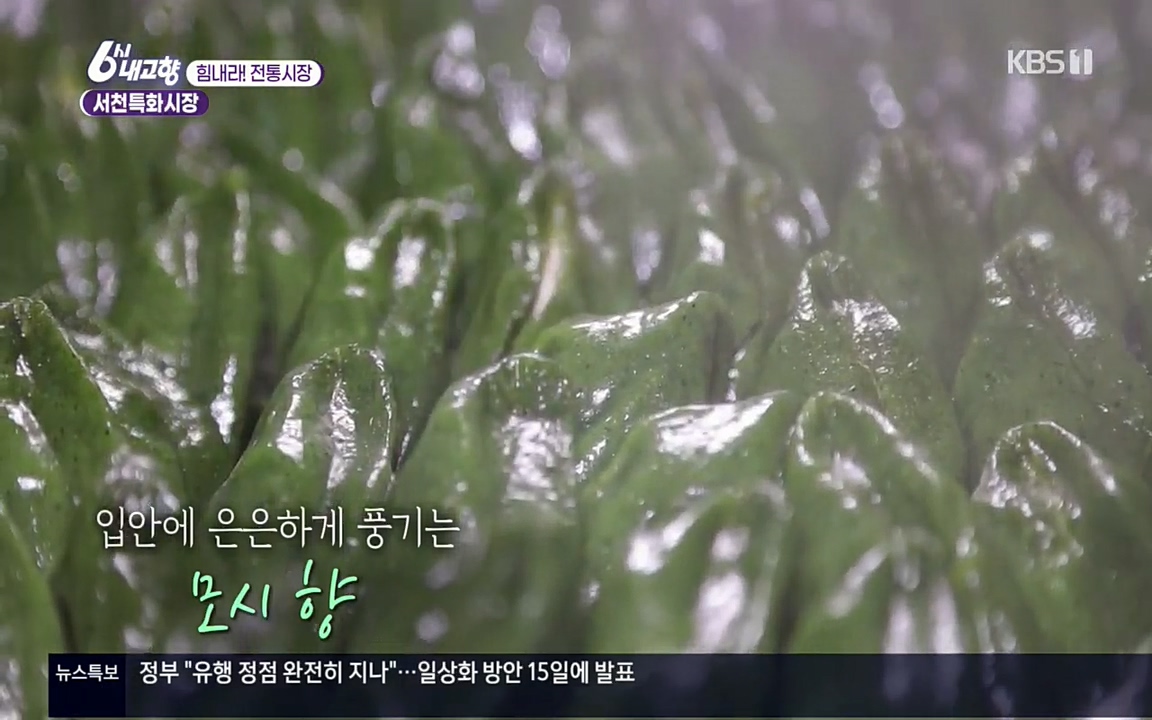 6시 내고향.E7511.220415p.H264-F1RST.mp4_20220425_172806.742.jpg