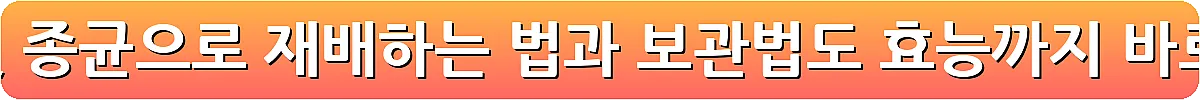 표고버섯 종균으로 재배하는 법과 보관법도 효능까지_8