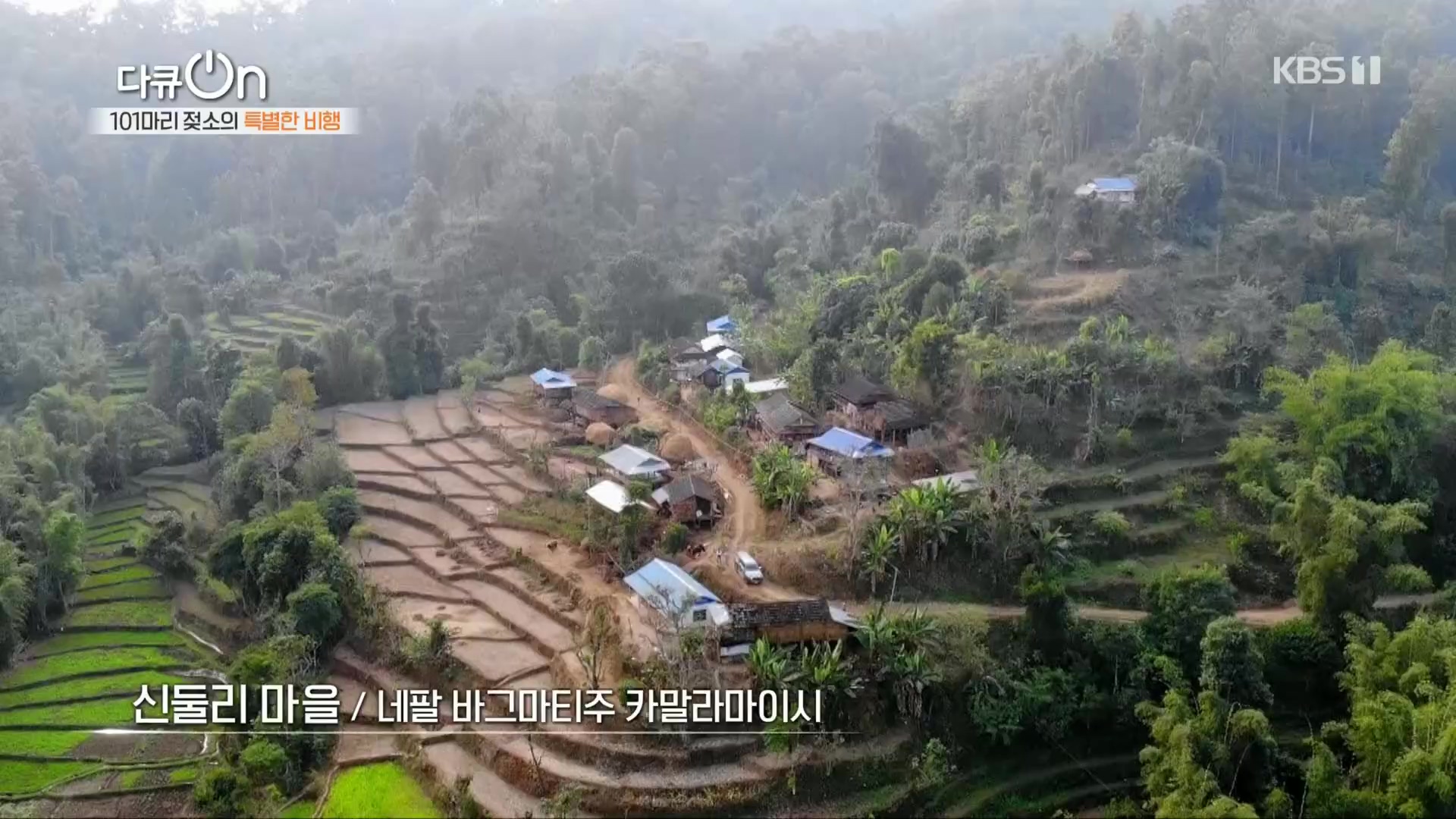 다큐 On.E184.230203p.H264-F1RST.mp4_20230211_174016.973.jpg