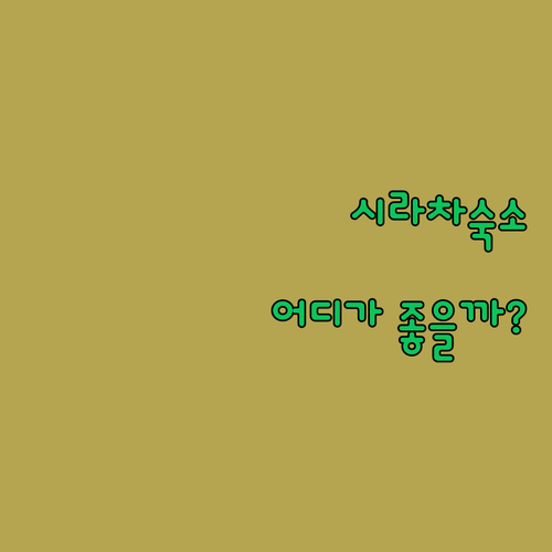 시라차 숙소 고민 끝 오크우드 호텔 