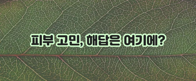 얼굴 기미 주근깨 잡티 없애는 방법 확실하게 알아봐야죠!