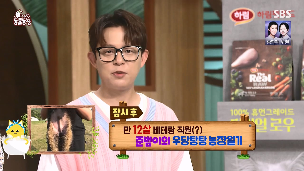 TV 동물농장.E1178.240630.ts_20240630_164638.842.jpg