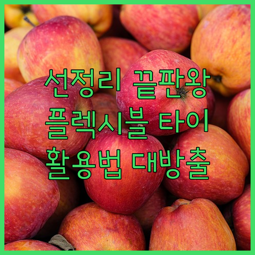 엔더 플렉시블 케이블 타이 활용법 전