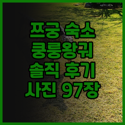 쯔궁 지둬 호텔 팡터 쿵룽왕궈 후기.
