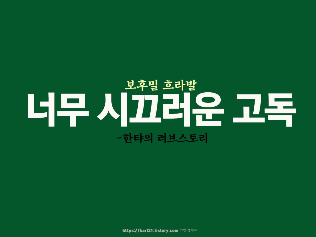  보후밀 흐라발/너무 시끄러운 고독Review/한탸의 러브스토리