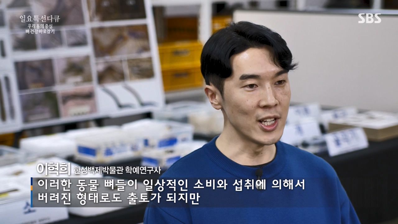 일요특선 다큐멘터리.E339.240205p-NEXT.mp4_20240206_205053.439.jpg